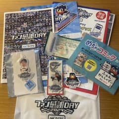 東京ヤクルトスワローズ ファン感謝DAY 2024 記念品清水昇 つば九郎