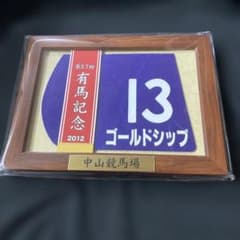 競馬】ゴールドシップ（2012年有馬記念）額入りミニゼッケン／優勝レイ