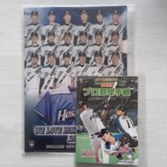 貴重】大谷翔平 日本ハムファイターズ クリアファイル & プロ野球手帳