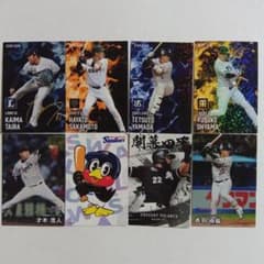 m22145086336_1.jpg?1754915696