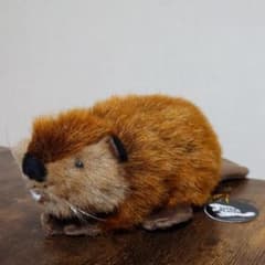 スーパービーバーちゃん ぬいぐるみ SUPER BEAVER - メルカリ