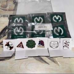 メルカリ便匿名配送】バラ売り可能 ミセス『エデンの園 』ピンバッジ 6