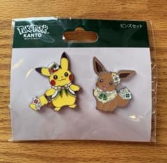 ポケパークカントー限定 ピンズ ピカチュウ・イーブイ - メルカリ