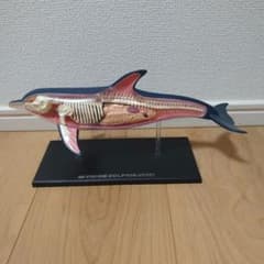 m76109707721_1.jpg?1744106561