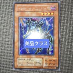 m77895599565_1.jpg?1727250848