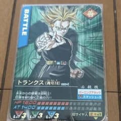 m78511643040_1.jpg?1723169791