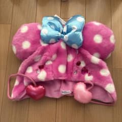 ファンキャップ パルパルーザ ミニーのファンダーランド ディズニー