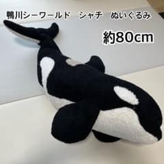 m70186564538_1.jpg?1735182818