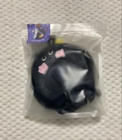 RIIZE ウォンビン トニャンドク ペンライトカバー - メルカリ