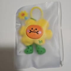 m72574615441_1.jpg?1735606491