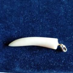 m72312735085_1.jpg?1752147265