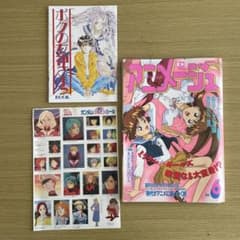 付録付き アニメージュ 1993年6月 - メルカリ