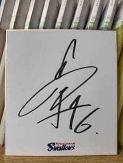 東京ヤクルトスワローズ 松下歩叶 6 直筆サイン色紙 球団ロゴ色紙