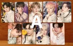 m81648345744_1.jpg?1711846760