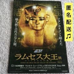 m81745555905_1.jpg?1755928247