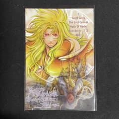 聖闘士星矢 セインティア翔［9巻］有隣堂特典 ポストカード 非売品