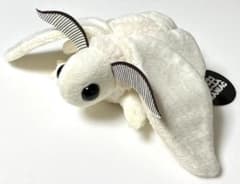 m96984397717_1.jpg?1720973248