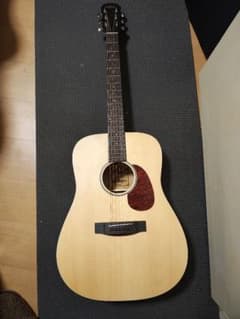 Aria-111 MTN単板トップ/美品 - メルカリ