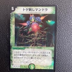 トゲ刺しマンドラ 初期 - メルカリ