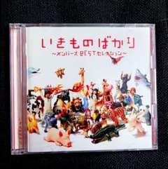 m98373060610_1.jpg?1758369423