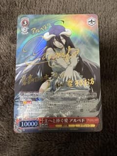 m93659678417_1.jpg?1763691874