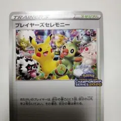 m44760838449_1.jpg?1765975315