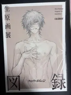 2026年最新】スロウダメージ 図録の人気アイテム - メルカリ