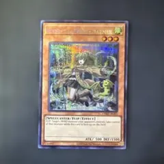 2026年最新】泰亜の人気アイテム - メルカリ