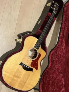 2026年最新】taylor 214ce DLXの人気アイテム - メルカリ