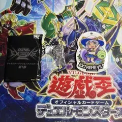 2026年最新】アクリルバナパスの人気アイテム - メルカリ