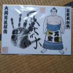 2026年最新】琴奨菊の人気アイテム - メルカリ