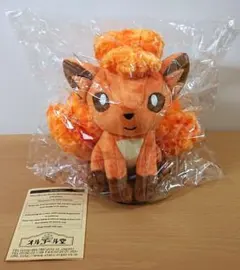 2026年最新】ロコン オルゴールの人気アイテム - メルカリ