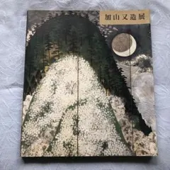 2026年最新】加山又造の人気アイテム - メルカリ