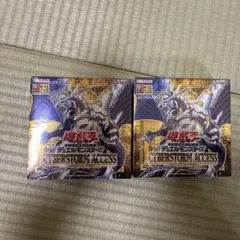 2026年最新】サイバーストームアクセス boxの人気アイテム - メルカリ