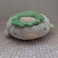 2026年最新】かっぱ ぬいぐるみ フリッカの人気アイテム - メルカリ