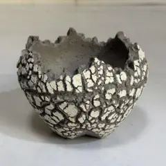 2026年最新】konect コネクト 植木鉢の人気アイテム - メルカリ