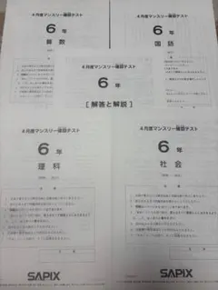 2026年最新】Sapix 6年 2024の人気アイテム - メルカリ