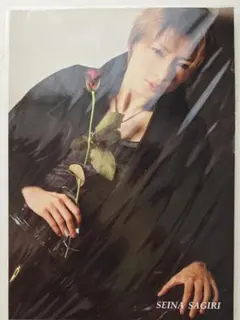 2026年最新】早霧せいなの人気アイテム - メルカリ