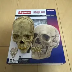 2026年最新】Supreme 4D Model Human Skullの人気アイテム - メルカリ