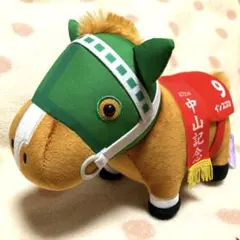 2026年最新】楽市楽座・アドアーズ・アラクレ限定の人気アイテム