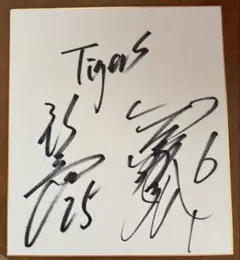 2026年最新】金本知憲 サイン色紙の人気アイテム - メルカリ