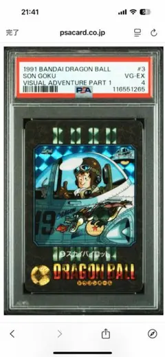 2026年最新】ビジュアルアドベンチャースカイパイロットの人気アイテム