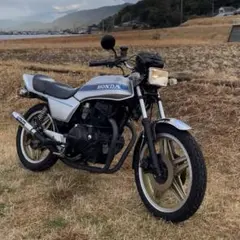 2026年最新】ホーク3 フェンダーレスの人気アイテム - メルカリ