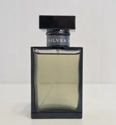 2026年最新】ラルフローレン ロマンスの人気アイテム - メルカリ