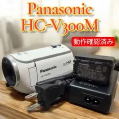 2026年最新】panasonic hc-v300の人気アイテム - メルカリ