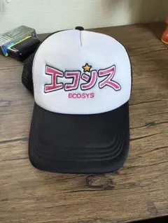 2026年最新】ecosys キャップの人気アイテム - メルカリ