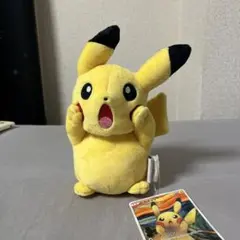 2026年最新】ムンク ピカチュウ ぬいぐるみの人気アイテム - メルカリ