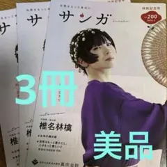 2026年最新】椎名林檎 クリアファイルの人気アイテム - メルカリ