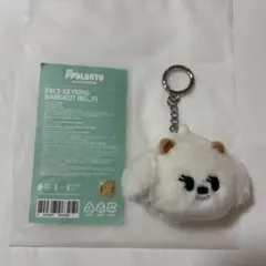 2026年最新】TXT プルバトゥ バムグッ キーリングの人気アイテム