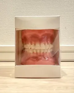 2026年最新】タイポドントの人気アイテム - メルカリ